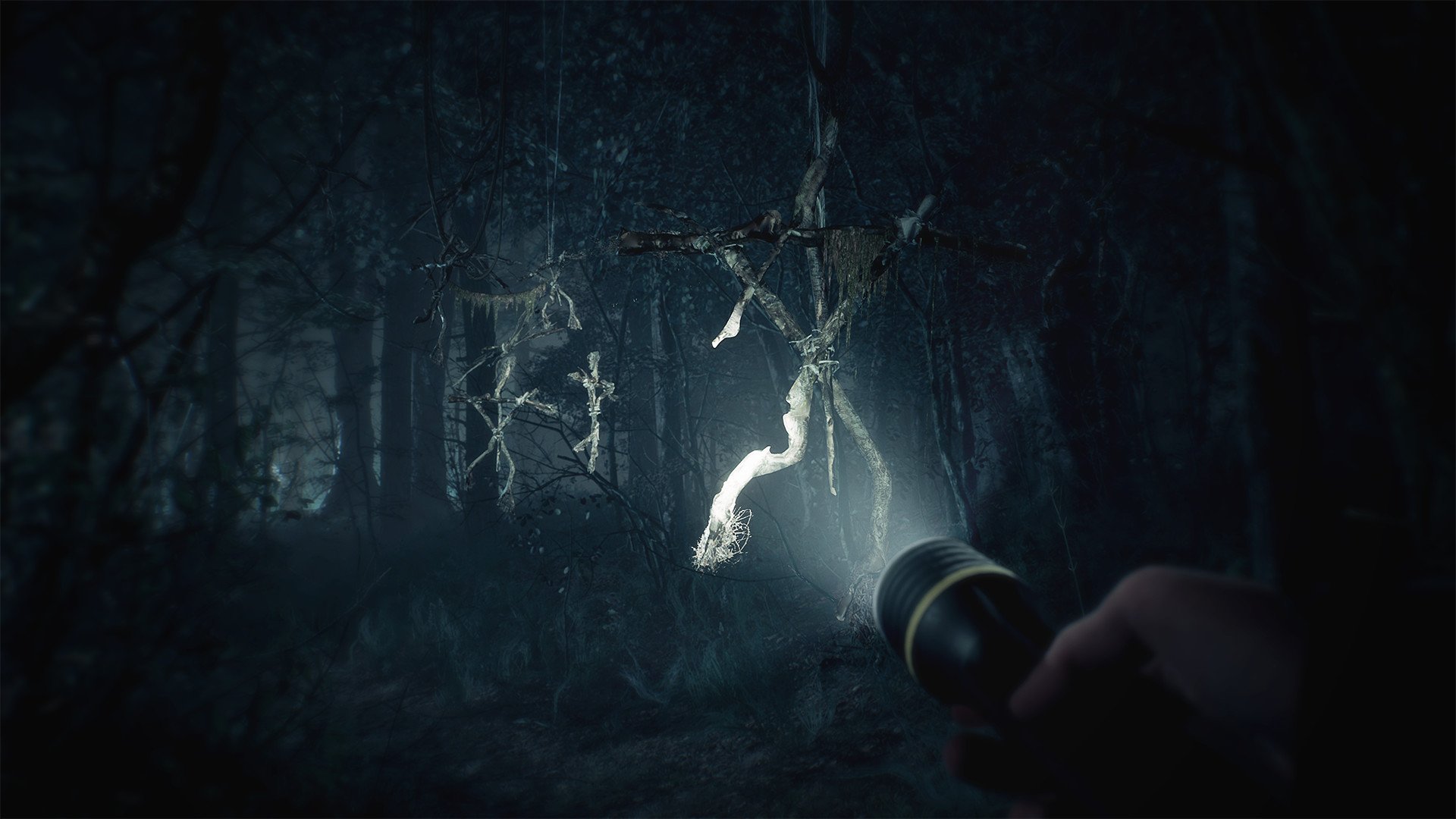 Blair Witch - Imagen 40